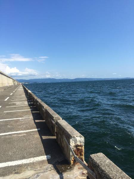 アコウ初ヒット