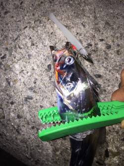 回ってますねぇ