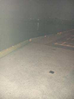 サバがわいてます