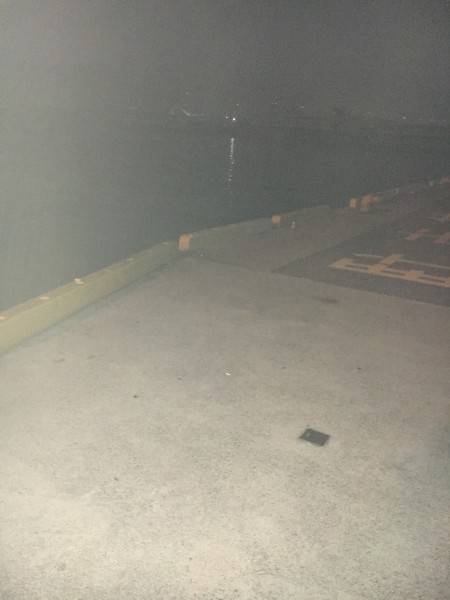 サバがわいてます