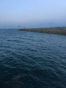 まだアジングはいけるのか