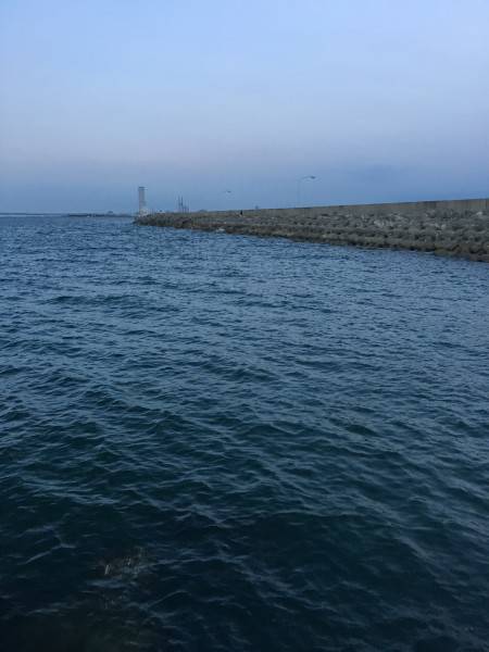 まだアジングはいけるのか