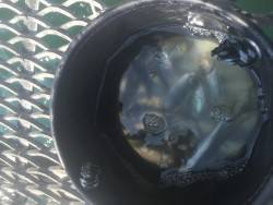 子供ととっとパーク小島釣行