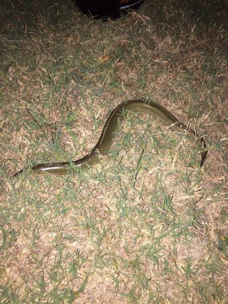 まだまだかな？