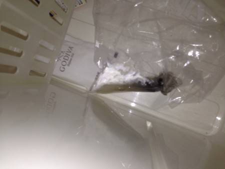 ライトエギング