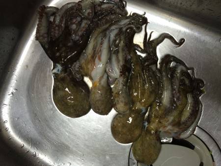 4匹の呪い脱出‼︎