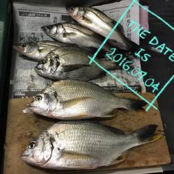 フカセクイーン爆発(^○^)