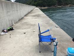 サビキ釣り、サバ、アジ、タナゴ