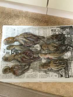 日射病に注意‼︎