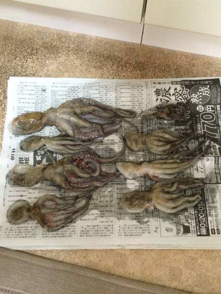 日射病に注意‼︎