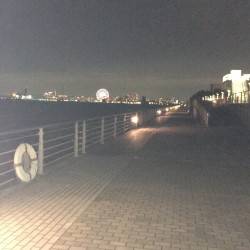 オクトパス＝根がかり