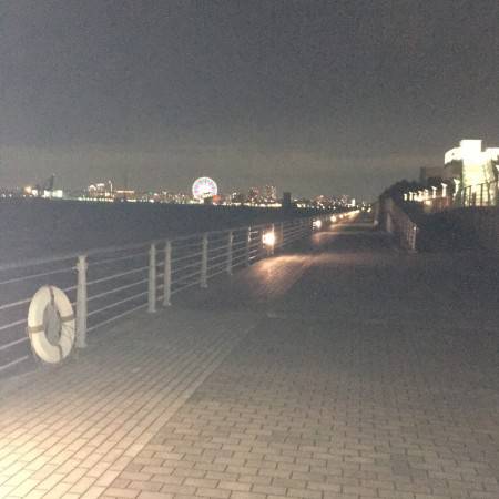 オクトパス＝根がかり