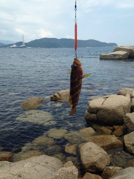 やっぱりエソスタート