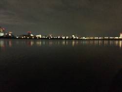 キビレ調査 NO,6