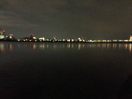 キビレ調査 NO,6