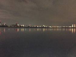 またもや深夜キビレ調査