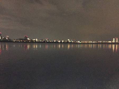 またもや深夜キビレ調査