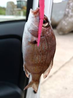 マイクロ4目釣り