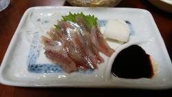 サビキで豆アジ