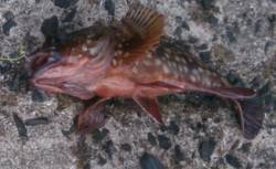 ローテーション③