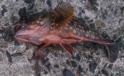 ローテーション③