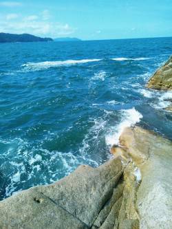 キスのちアコウ