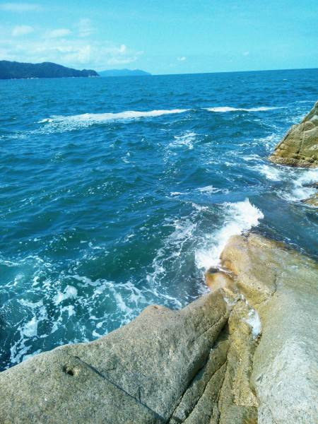 キスのちアコウ