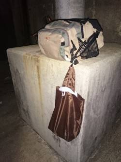 仕事帰りにアコウ