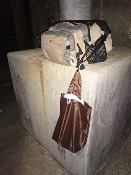 仕事帰りにアコウ