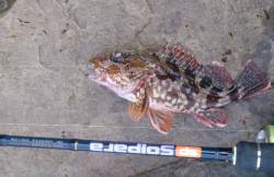 休ませたポイント