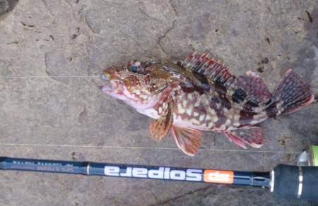 休ませたポイント