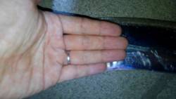 約２ヶ月ぶりのタチウオ釣行