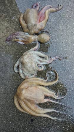 突然の雨に退散