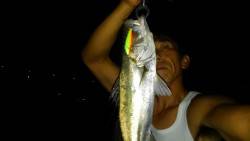 淀川ブリームゲーム！