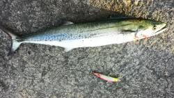 粘り勝ちでした。