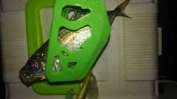 風、意外と強いやん