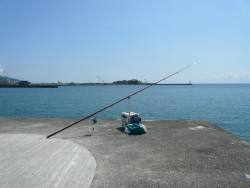 志筑川でキス狙い