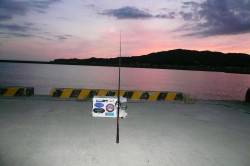 夜釣りから西淡釣査