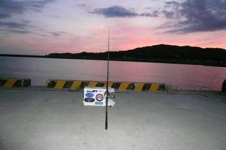 夜釣りから西淡釣査