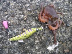 オクトパッシング