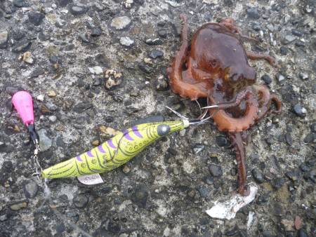 オクトパッシング