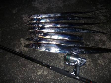 タチウオの逆襲？