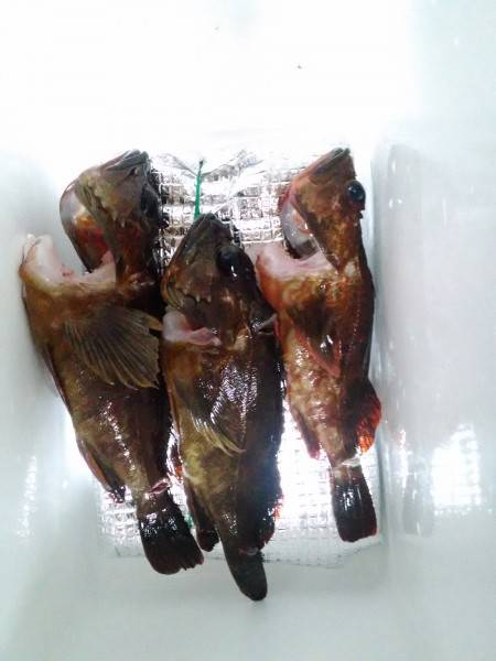 初淡路島ソルト