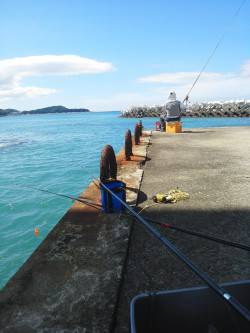 こんなん出ました・・・グレ・・