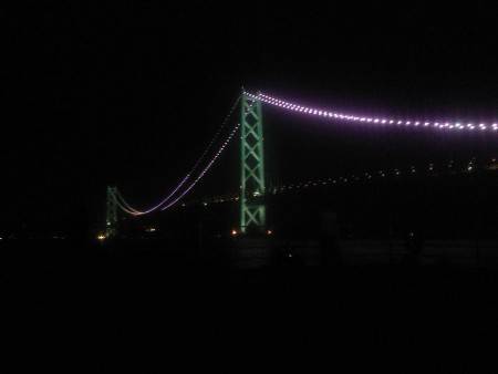 サビキで小アジ入れ食い&夜の大サバ狙い