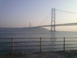 のませでスズキゲット！！