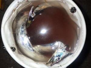 太刀魚狙い釣行