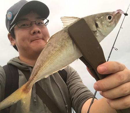 夕マヅメ アジング!