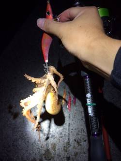 朝マヅメに・・・