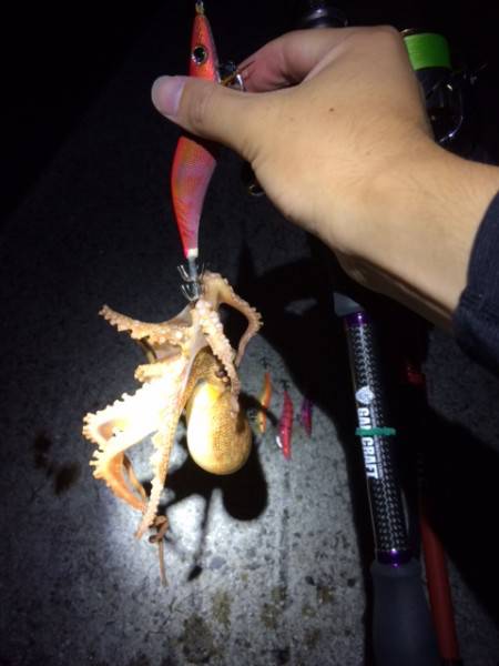 朝マヅメに・・・